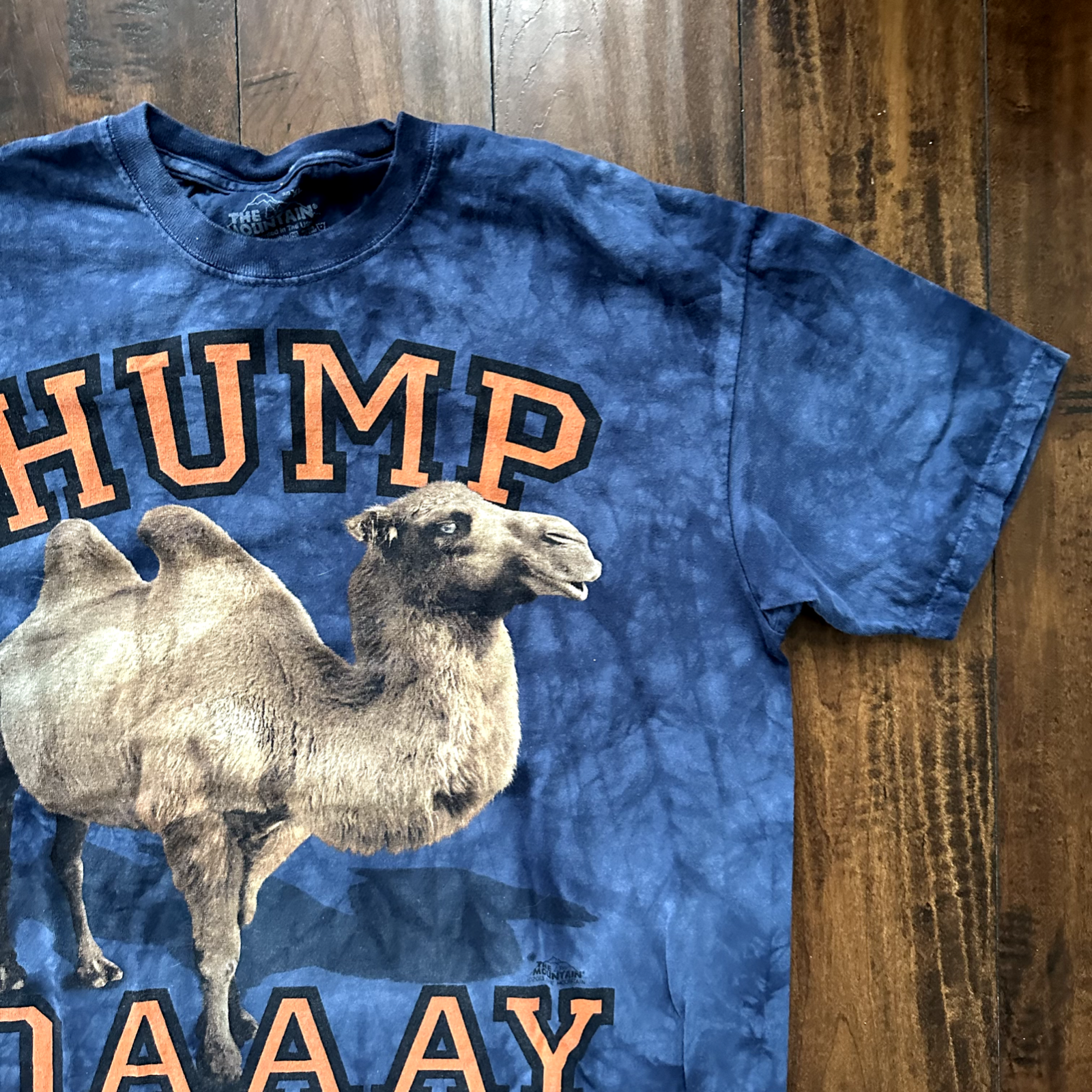 Hump Day Vintage T Shirt Camel Tye Dye Mountain XL Y2K Funny Humor Cute Animal