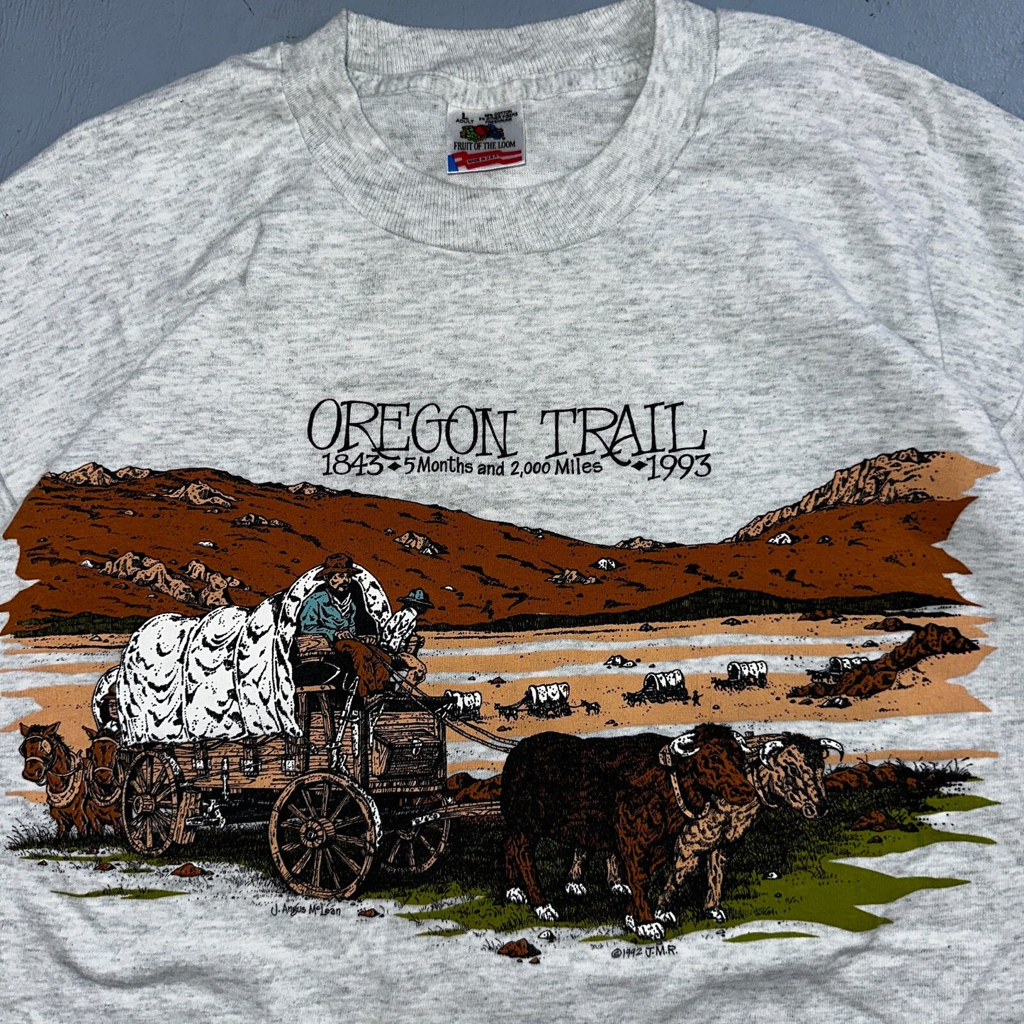 Oregon Trail 90s VTG T Shirt 1993 Gray Single Stitch Travel USA Sunset Rare