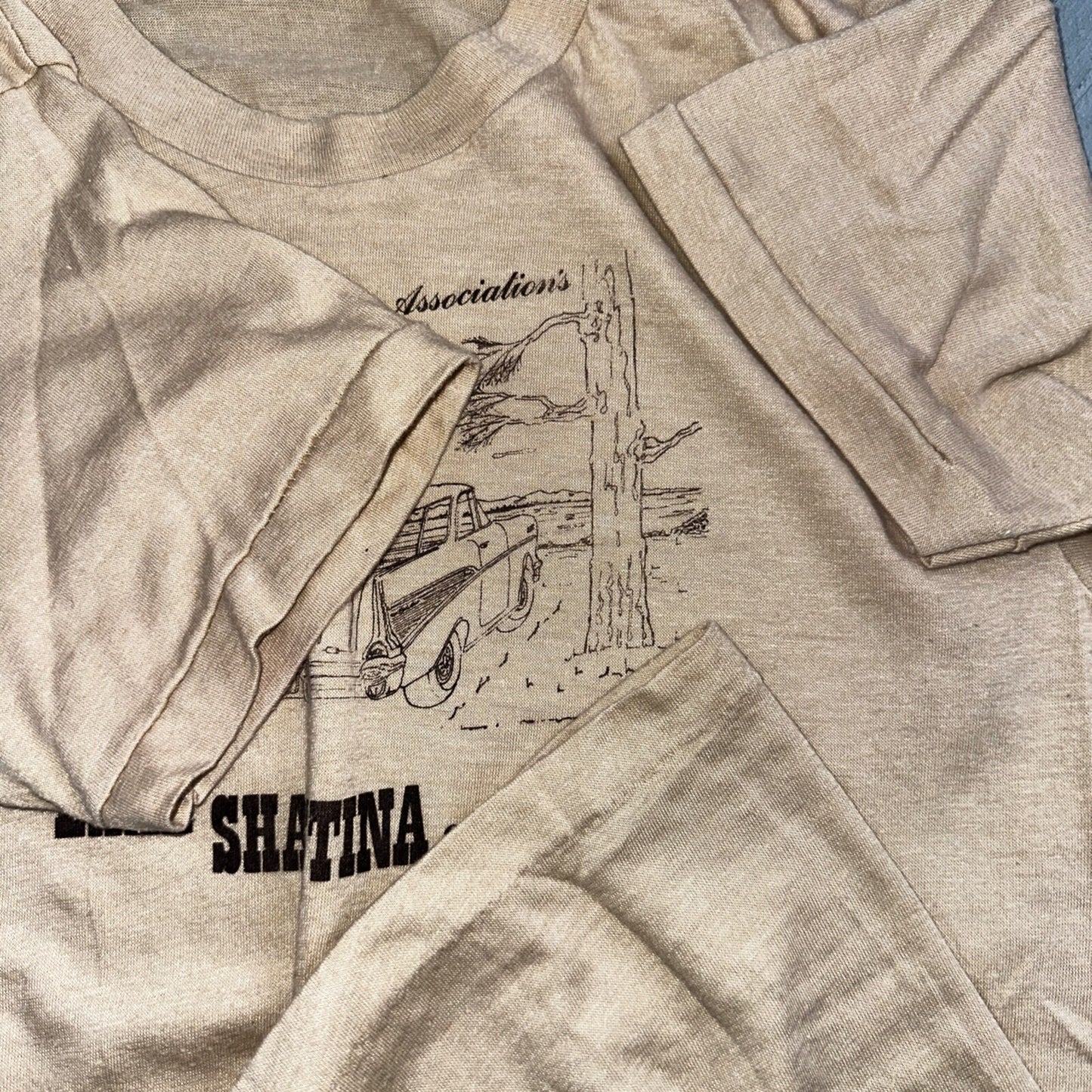 1979 Lake Shastina Campout June 70s Oregon VTG T Shirt Nomad Car Trees Nature