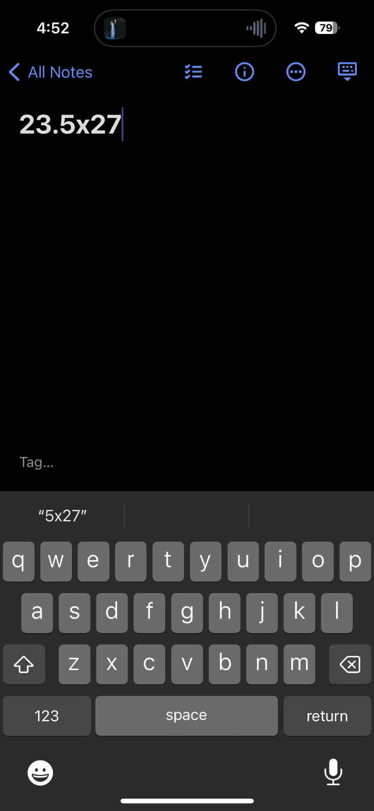 Diamond Lake Rogues Hot Rod VTG T Shirt USA Russell Athletic Cars Kampout Art Te