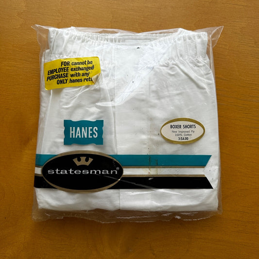 VTG 1960's Mens Hanes Boxer Shorts Underwear 3 Pack Size 30 Deadstock NOS 60s
