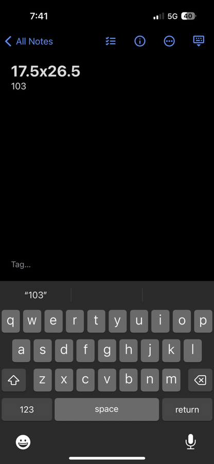 Screen Stars 1992 Wild Sprint Vintage T Shirt Giraffe Cute Animals Funny Winning