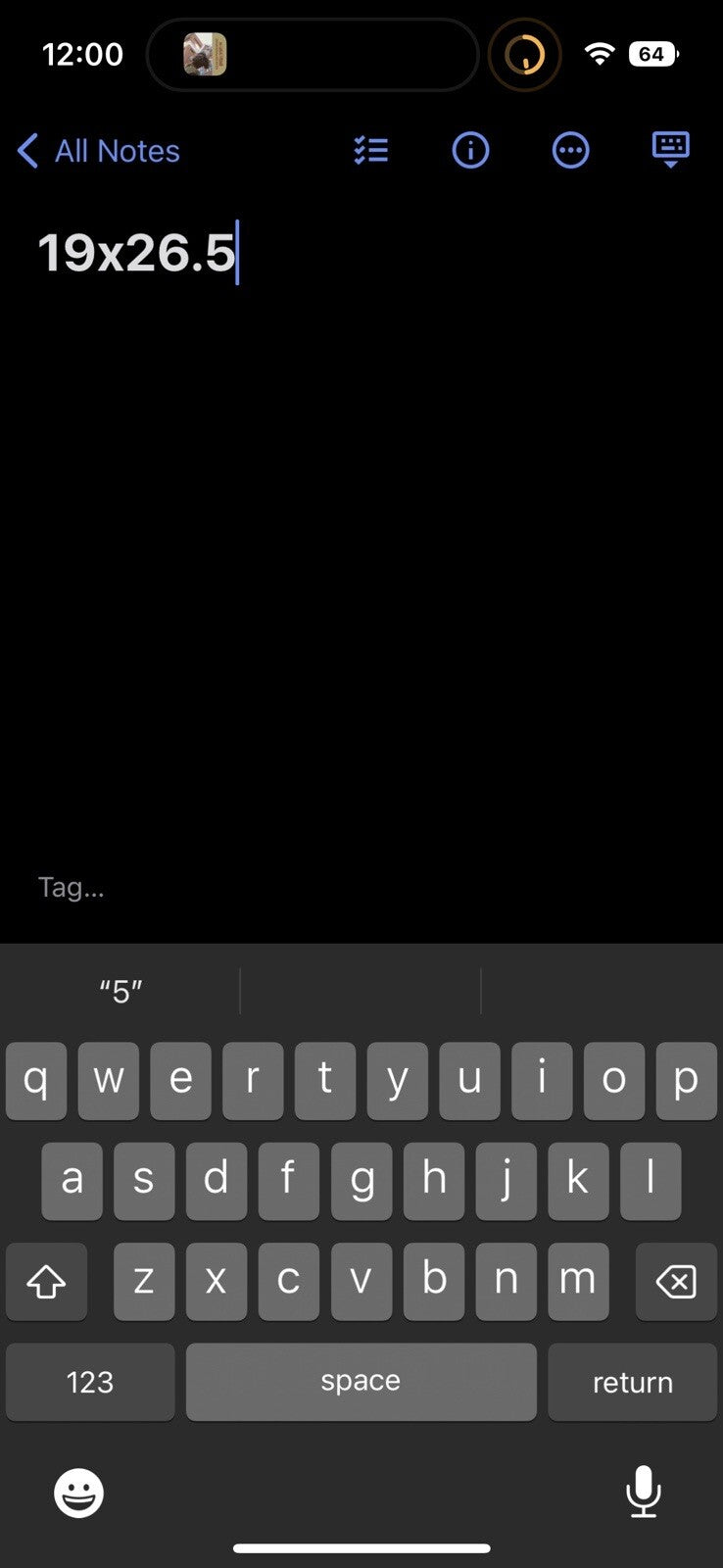 Santiam Bicycle Vintage T Shirt Biking Fun Sports Graphic Gym Running Black Y2K