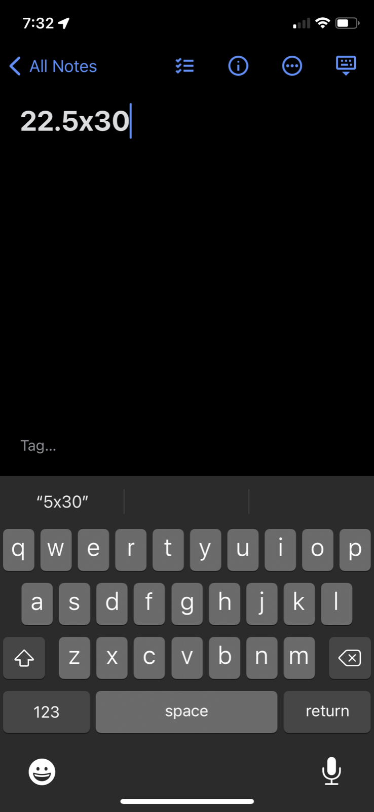 Chestertown Maryland Vintage T Shirt East Coast Anvil 90s Y2K Travel Ships Band