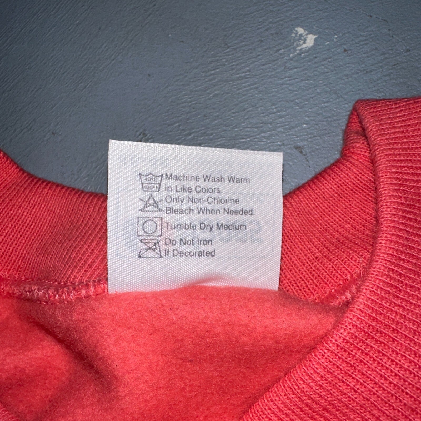 Hanes VTG Catch The Wind Crew Neck Sweatshirt Central Oregon 80s Pink XL