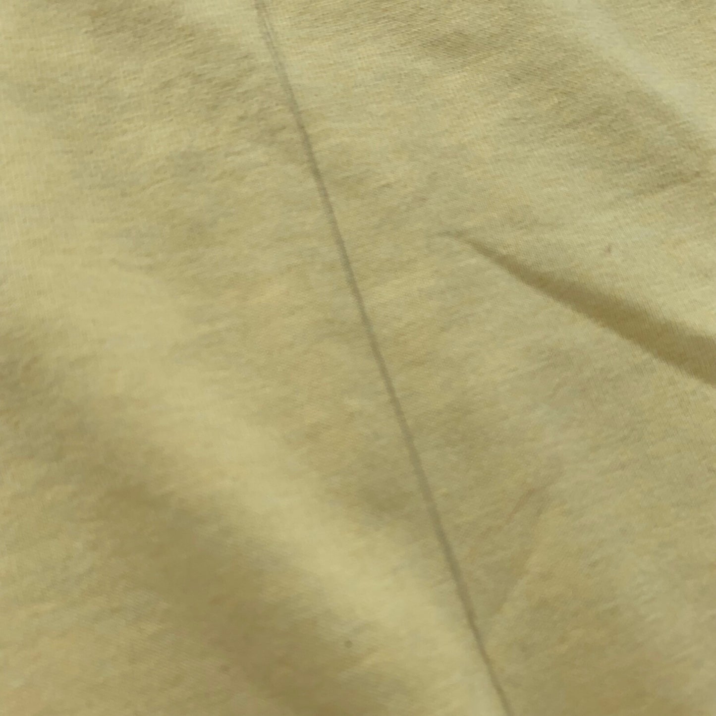 Leavenworth Washington Vintage T Shirt Seattle July 2001 Y2K Fletcher Reunion 