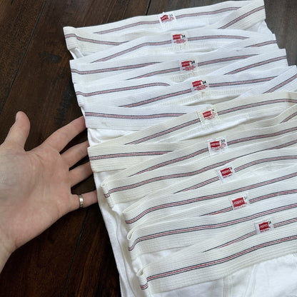 Hanes Briefs Men Size 34 White Cotton Black Stripes 9 Pair Vintage USA Lot 1960s