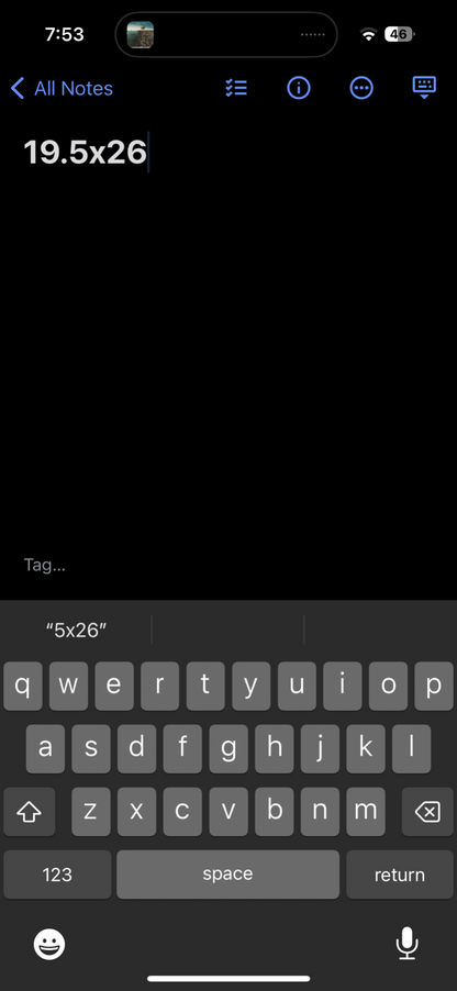 Freeport Grand Bahama Parrot VTG T Shirt Animals Bird Palm Tree Summer Cool