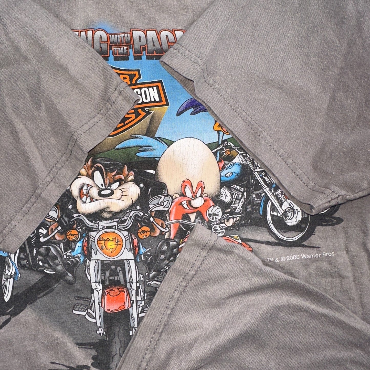 Harley Davidson Looney Tunes Y2K VTG T Shirt Biker York Pennsylvania 2000 Art