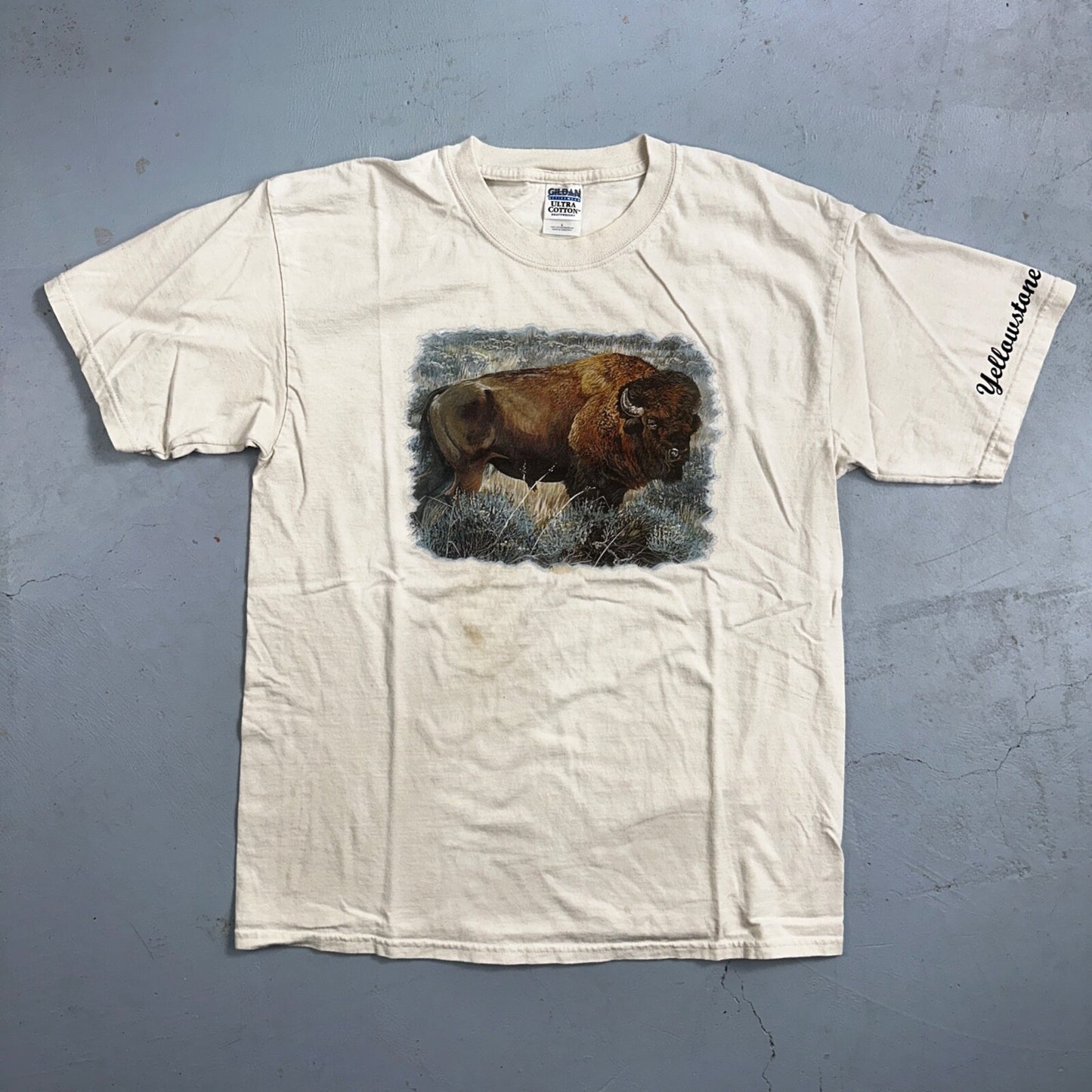 Buffalo VTG T Shirt Yellowstone Travel Animals Love Native America Y2K Photo