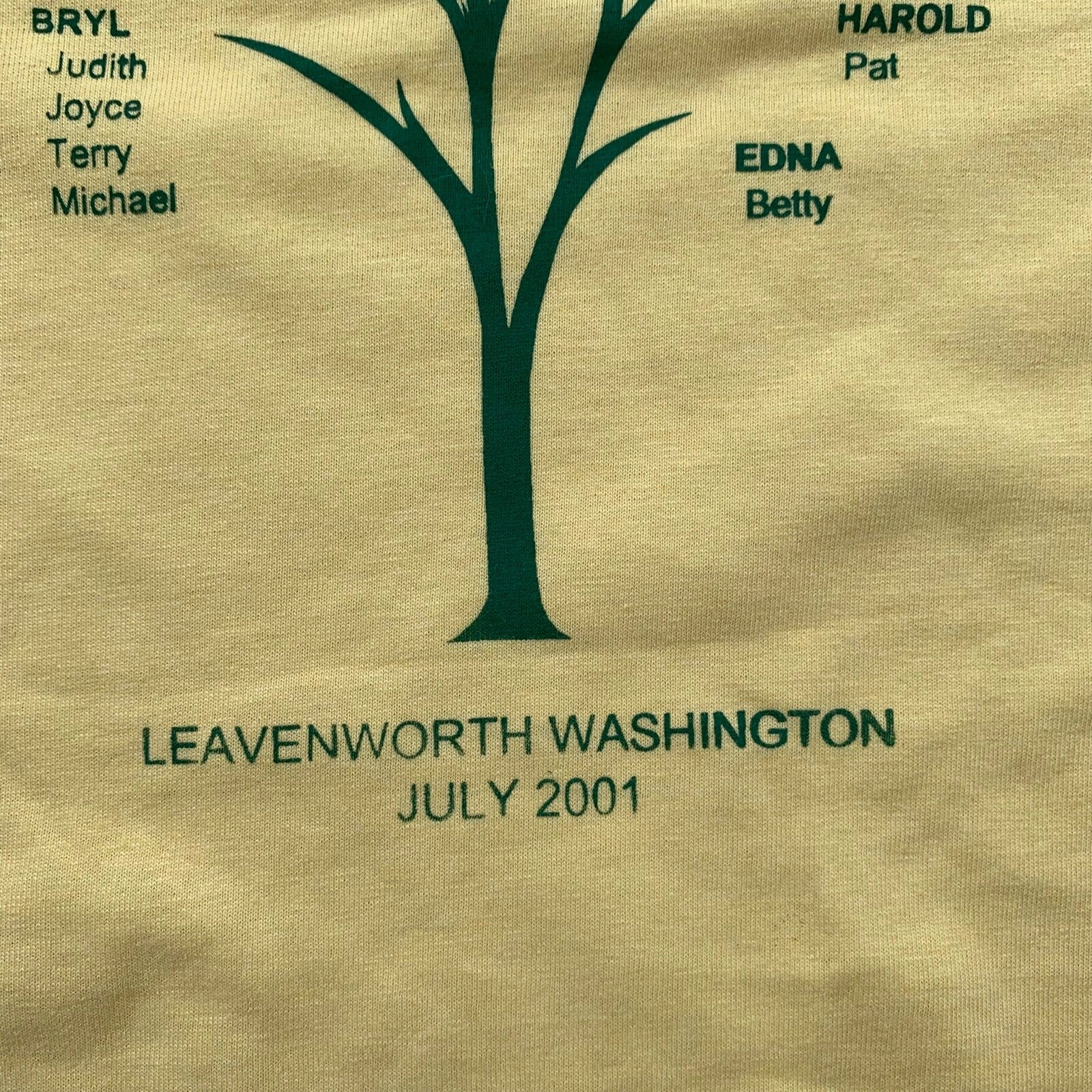Leavenworth Washington Vintage T Shirt Seattle July 2001 Y2K Fletcher Reunion 