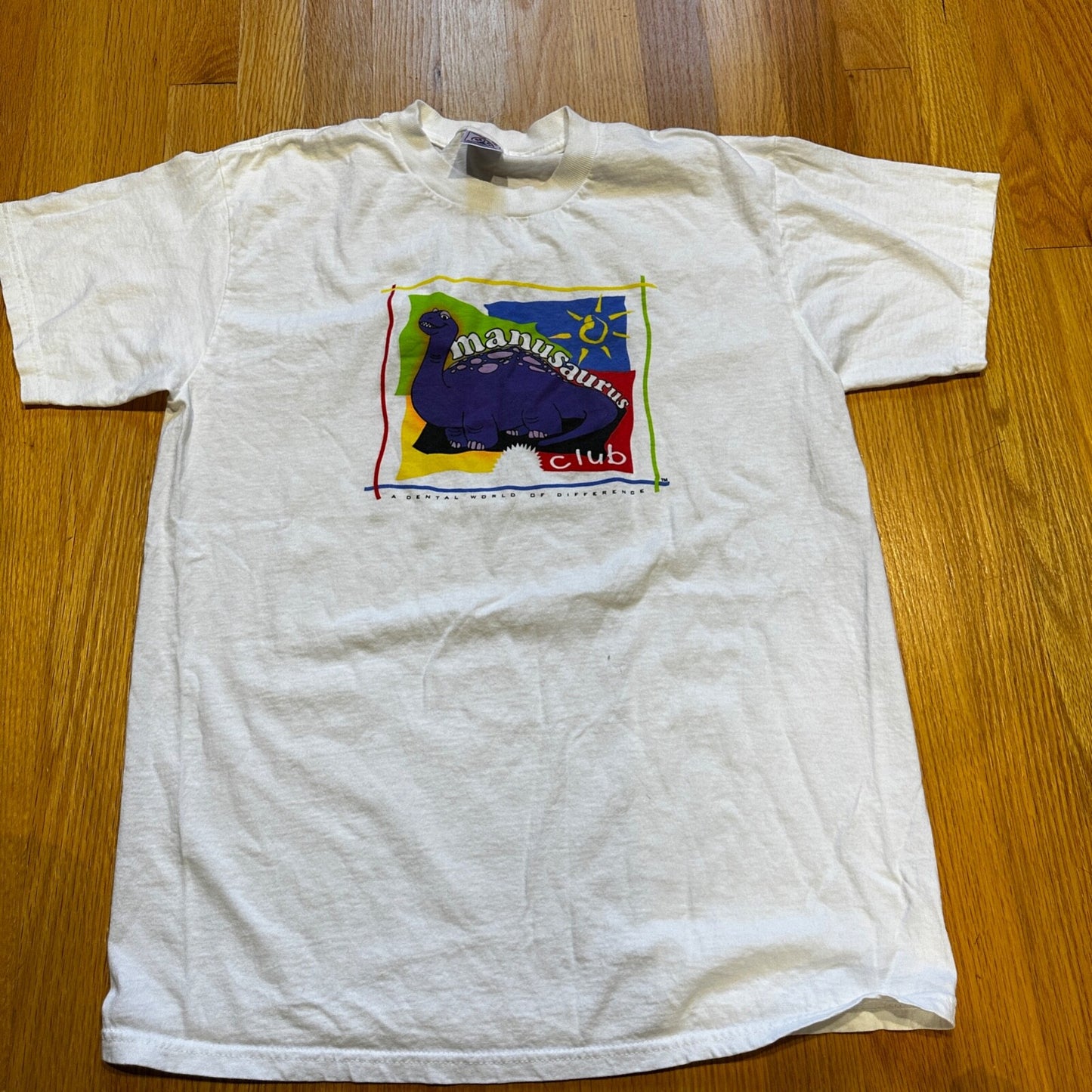 Dinosaur Club Jurassic Park Vintage T Shirt Y2K 90s Cute Animals Preschool
