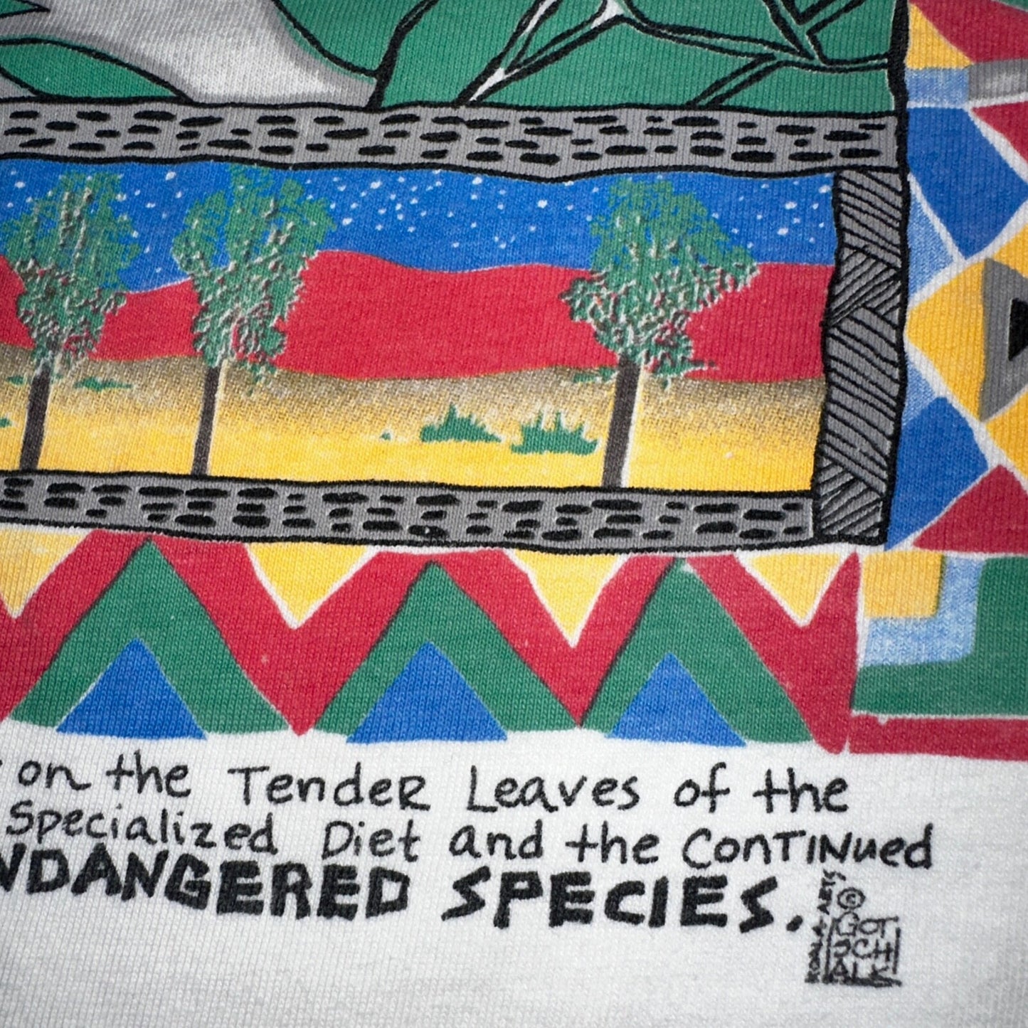 San Diego Zoo VTG T Shirt Koala Hanes Beefy Single Stitch California Graphic 80s