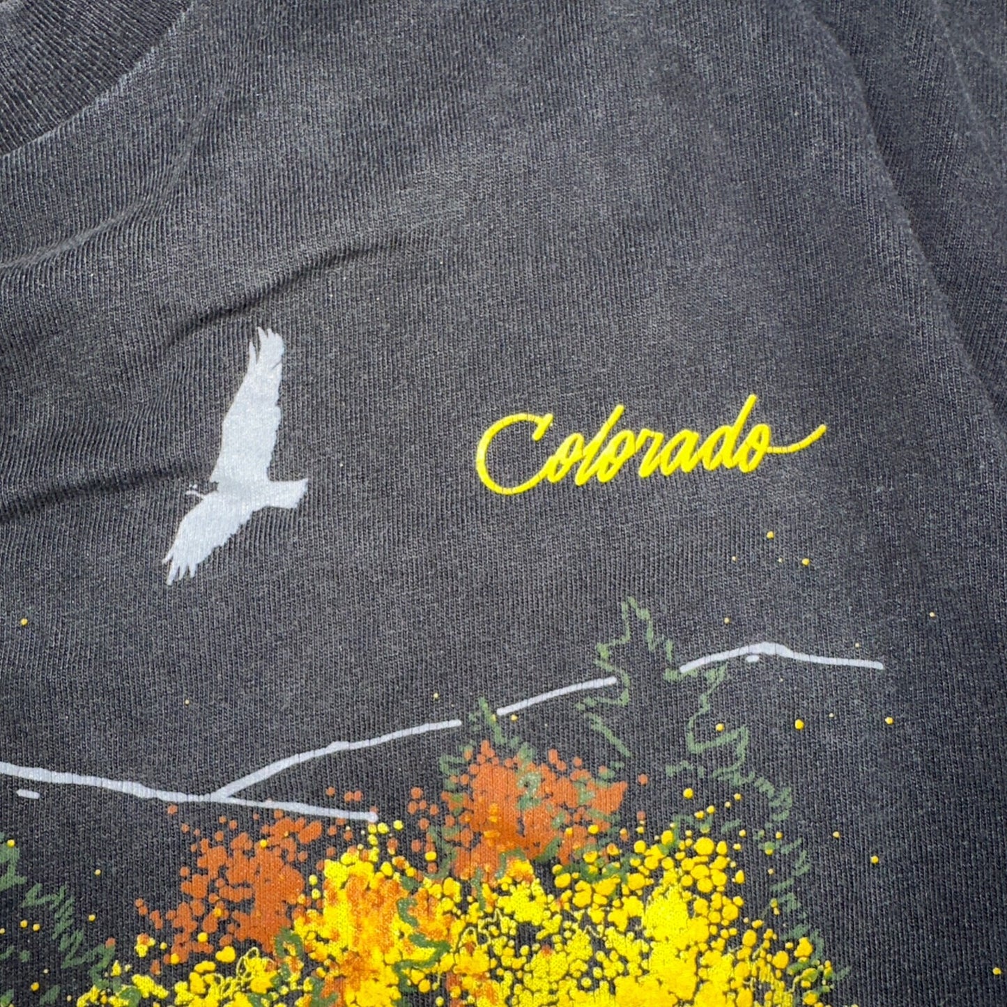 Colorado Nature Trees Autumn VTG T Shirt 80s Stedman Black Graphic Single Stitch