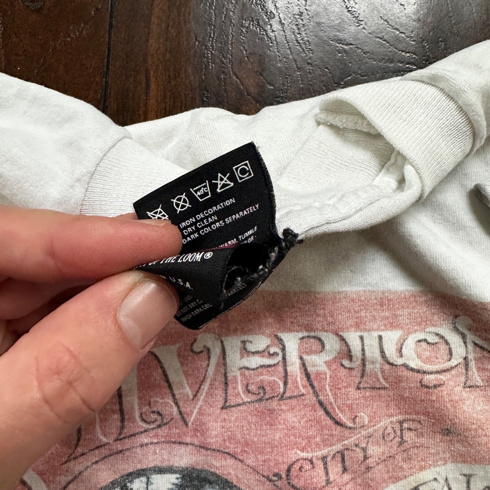 Silverton Oregon The Falls VTG T Shirt 90s Screen Stars Single Stitch PDX USA