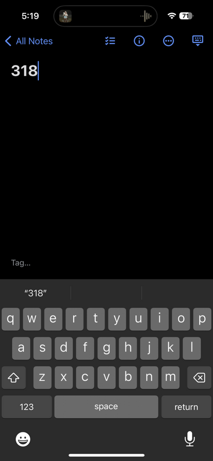 Nike Vintage Blue Nylon Shorts Swoosh Y2K Silver Tag 9” Inseam Running Gym