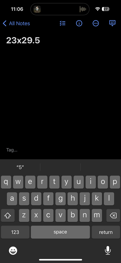 Wright State University XL VTG T Shirt WSU College School USA Gray Graphic Tee