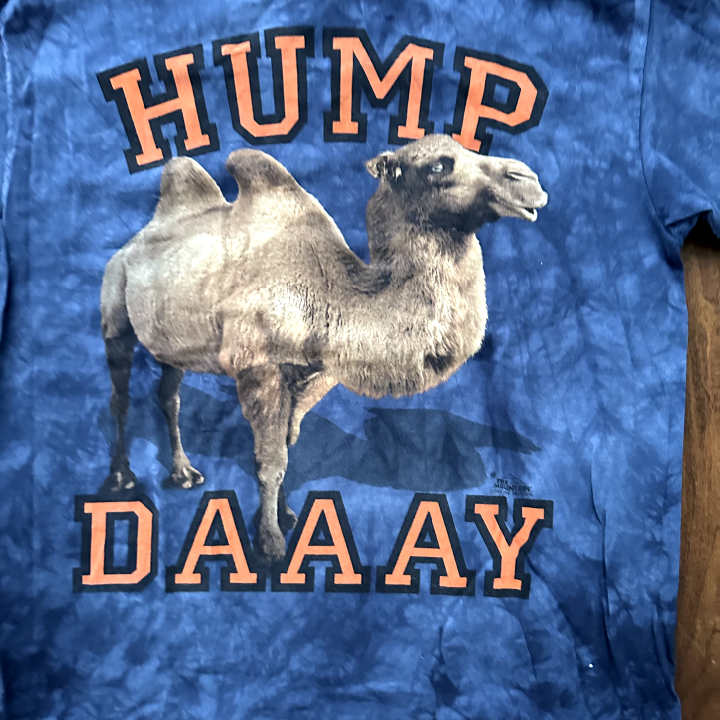 Hump Day Vintage T Shirt Camel Tye Dye Mountain XL Y2K Funny Humor Cute Animal