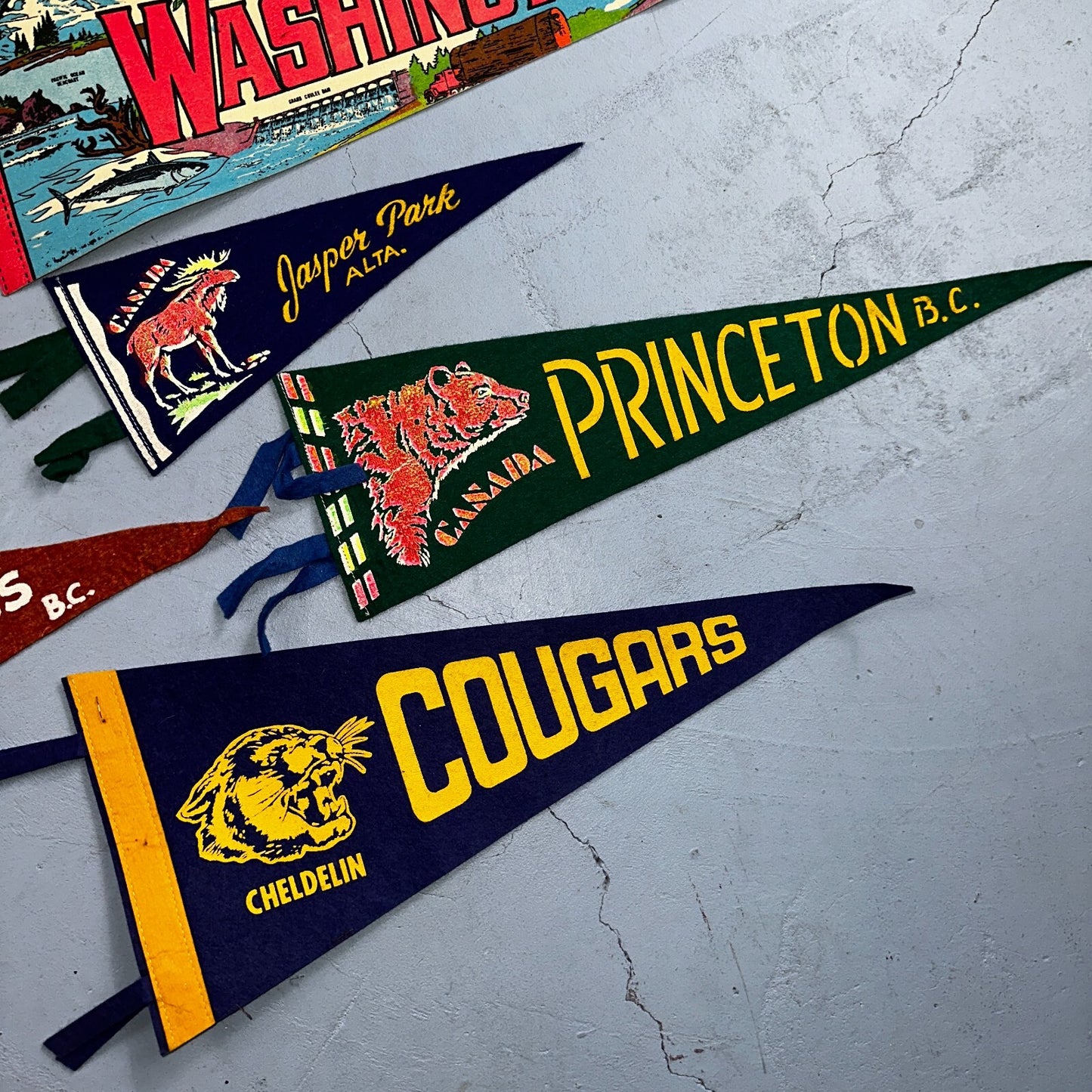 VTG Pennant 1930s 1940s Princeton Collection of 9 Lot Rare Football Antique