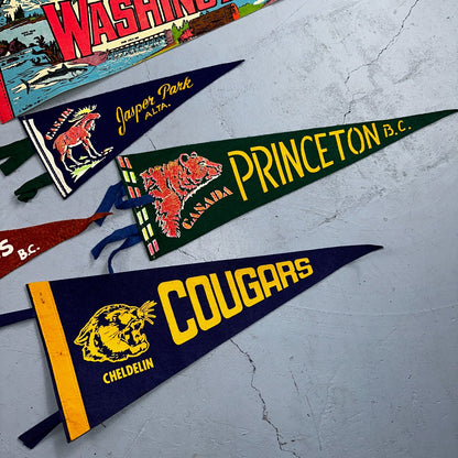 VTG Pennant 1930s 1940s Princeton Collection of 9 Lot Rare Football Antique