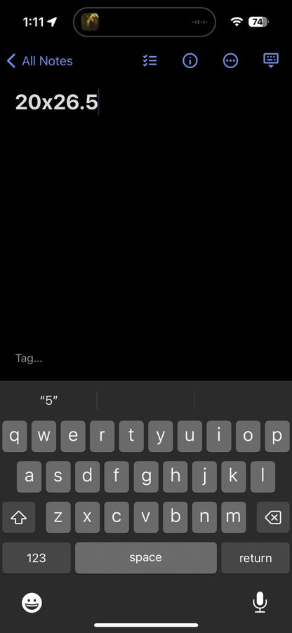 Red Hot Chili Peppers Vintage T Shirt Purple Y2K Tucson Arizona Rare Embroidered