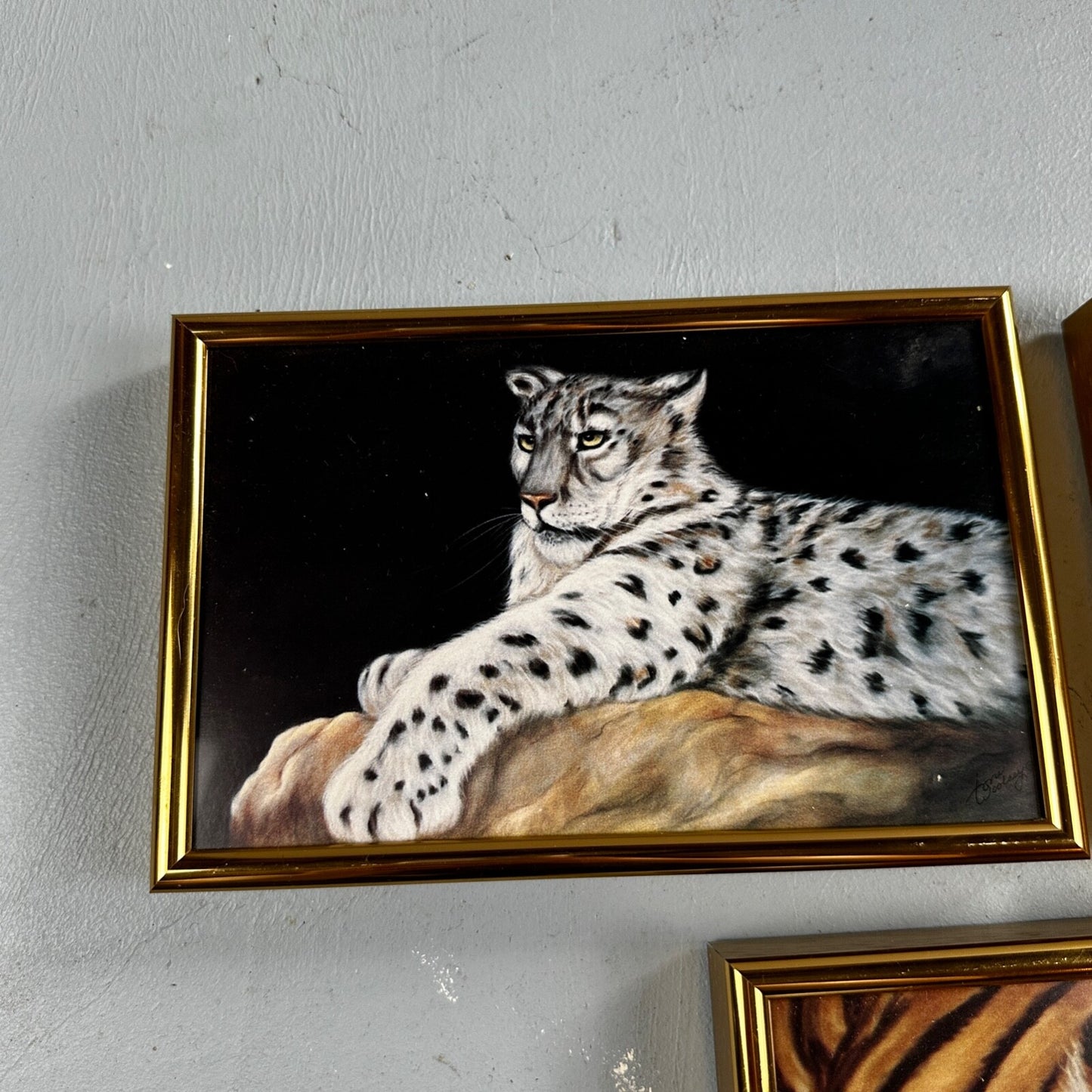 Home Interiors Tiger Framed Picture Toni Woolsey Local Oregon Artist Cats