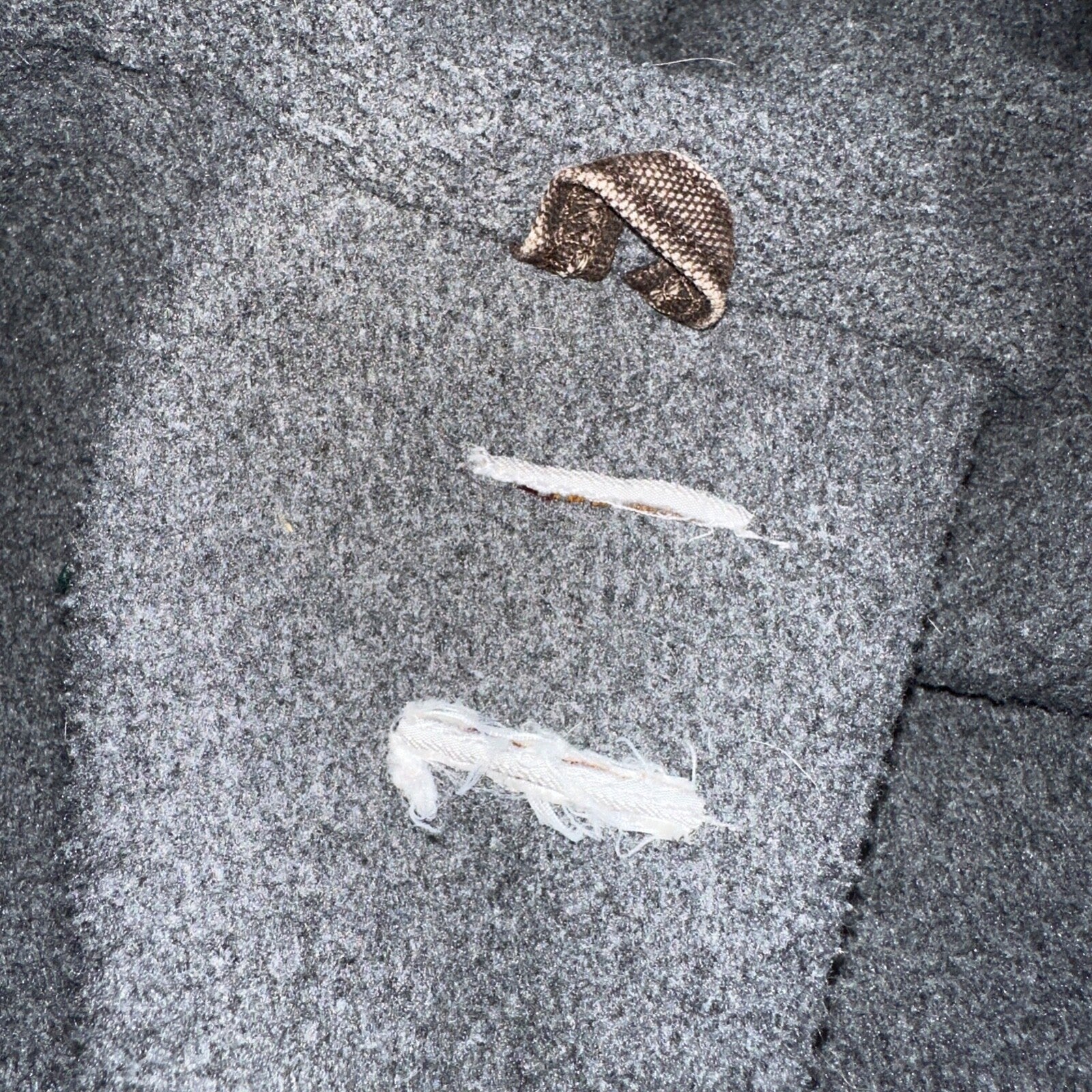 Carhartt Canvas Coat Bomber Jacket Workwear Hood Small Youth Boys Kids Detroit