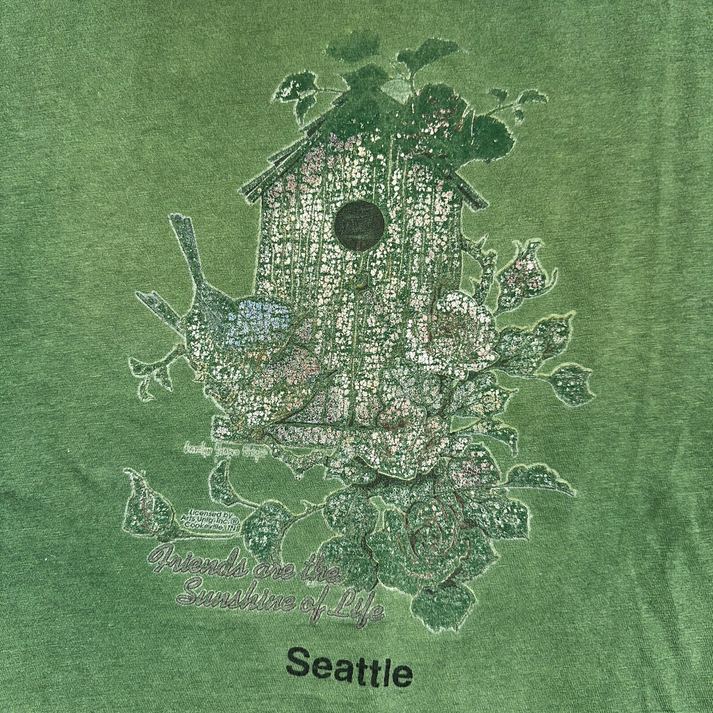 Seattle Birdhouse VTG T Shirt Birds Chopped Sleeves Thrashed Distressed Graphic
