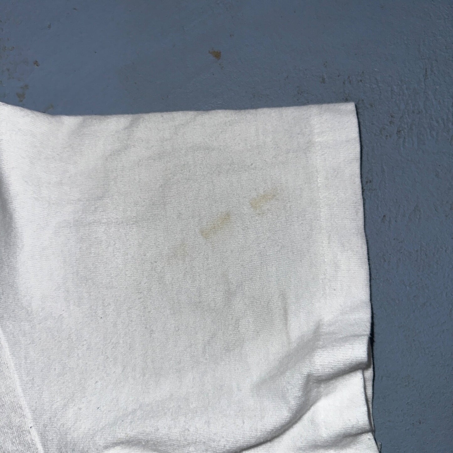 James Taylor Never Die Young VTG T Shirt 80s Hanes XL Howling Wolf RARE Concert