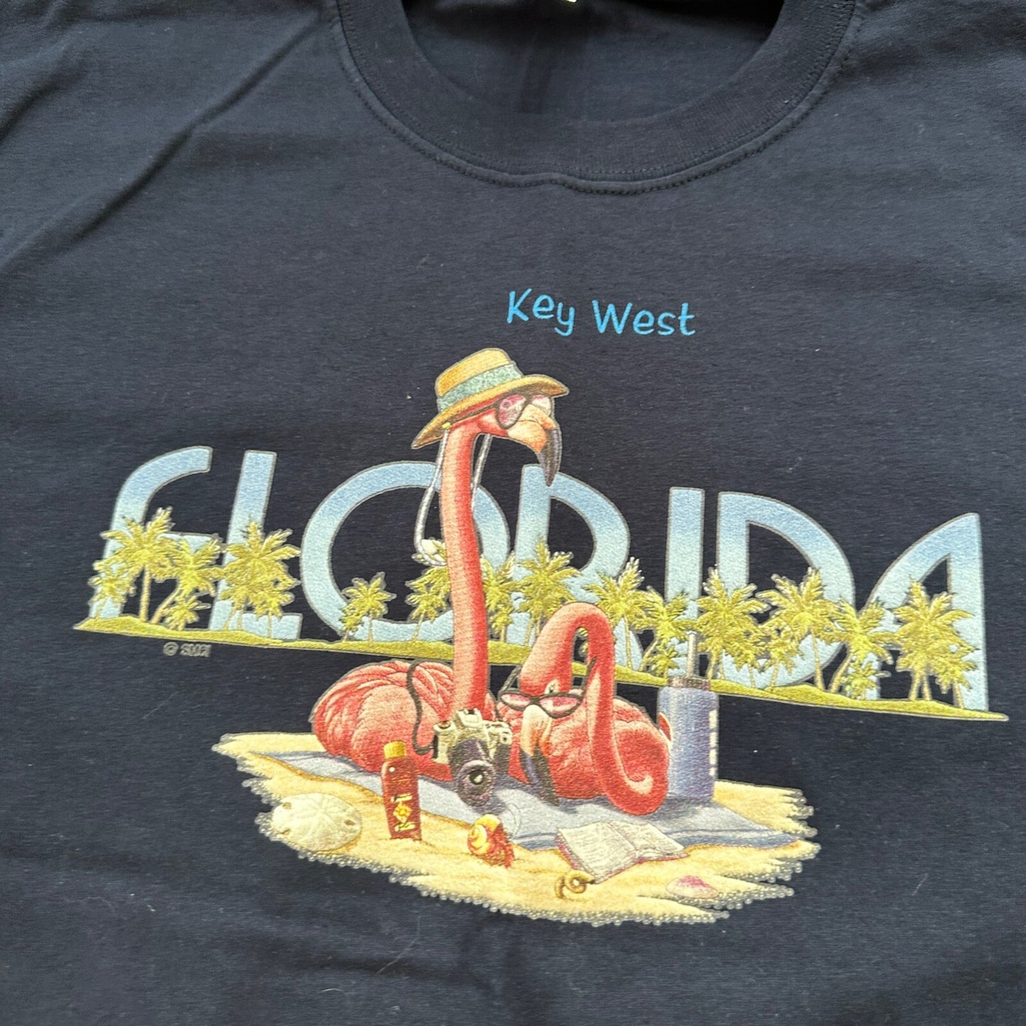 Florida Key West Flamingo Vintage T Shirt Funny Travel USA America Tourist Tee