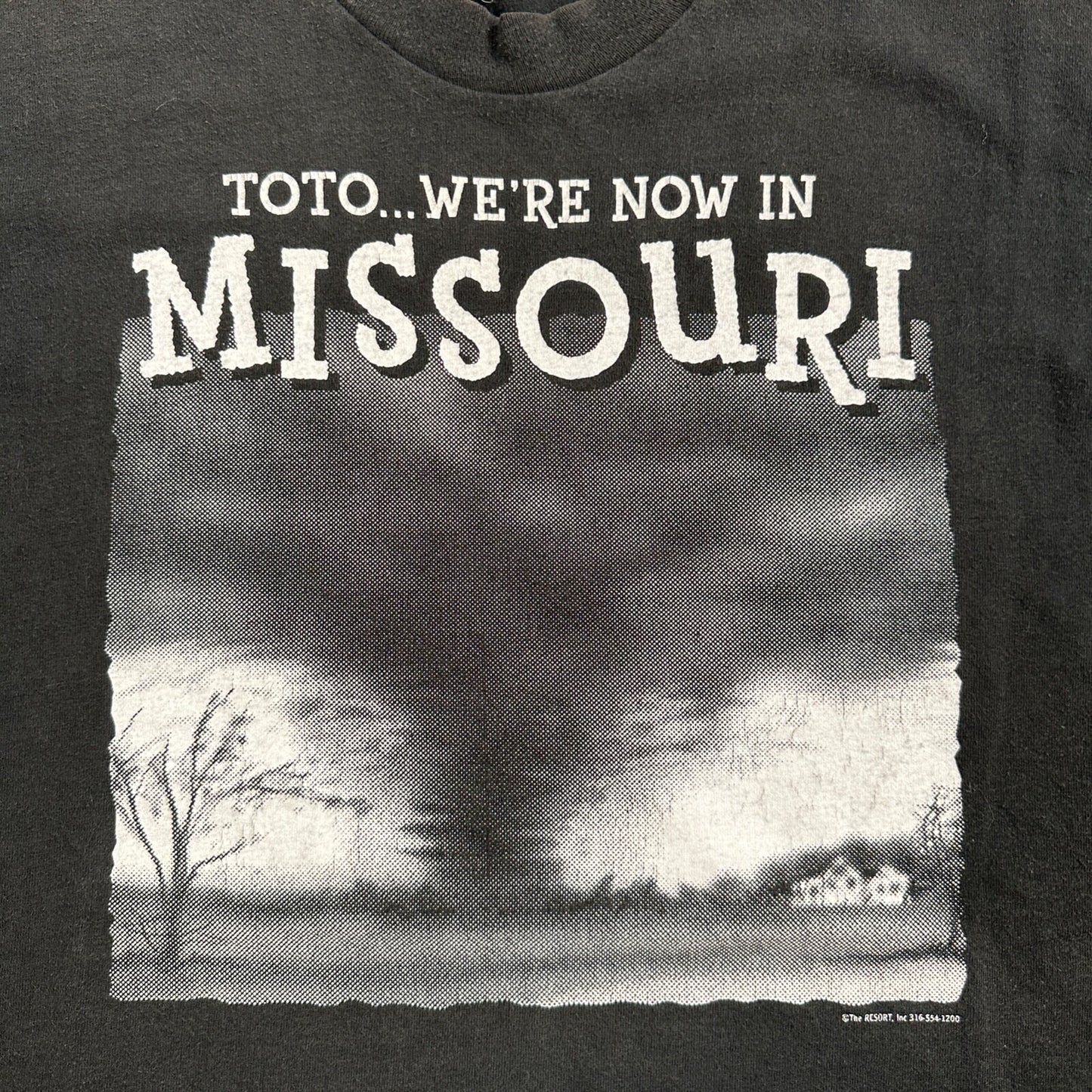 Missouri Toto VTG T Shirt 90s Y2K Tornado Alley Midwest FOTL Black Fun Art Tree