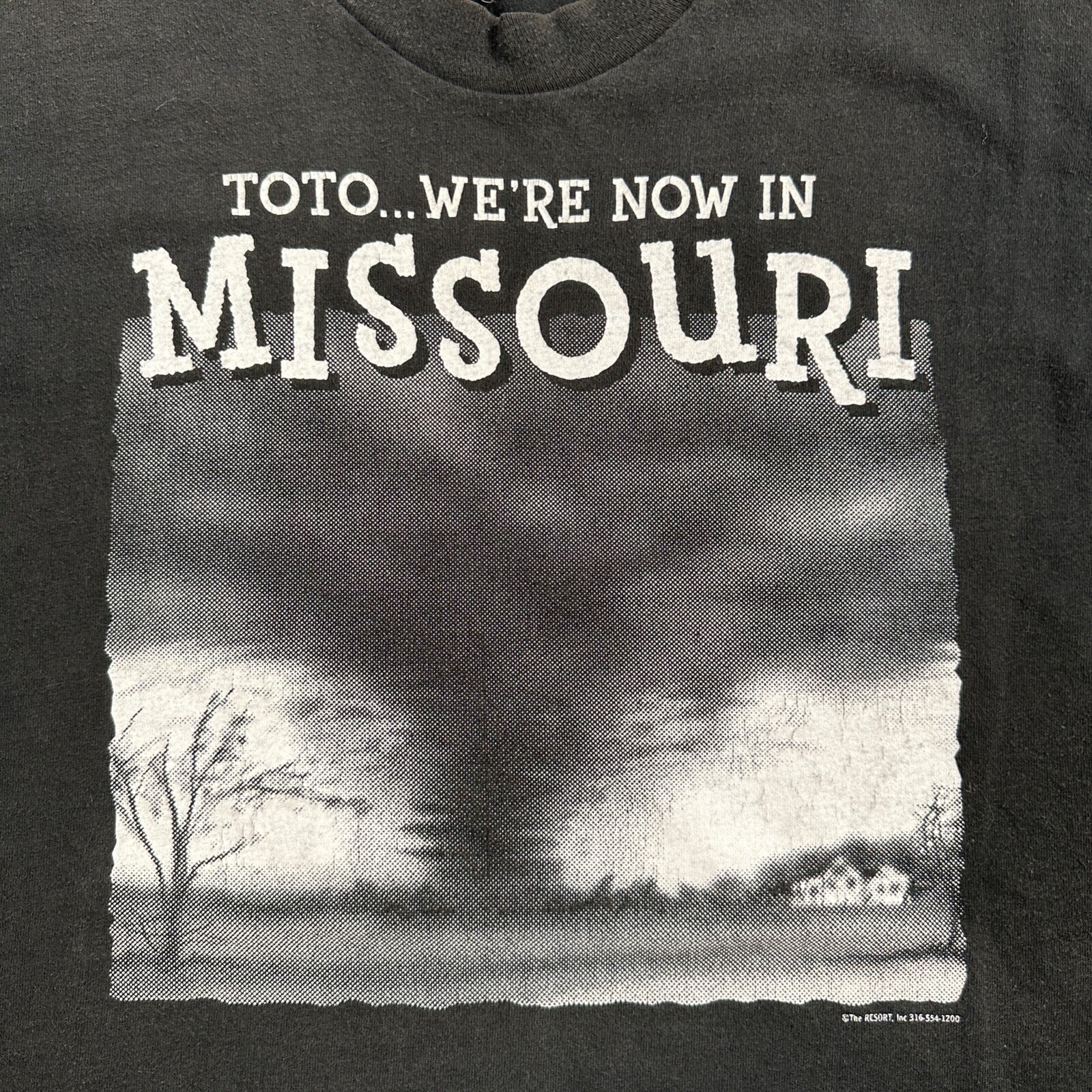 Missouri Toto VTG T Shirt 90s Y2K Tornado Alley Midwest FOTL Black Fun Art Tree