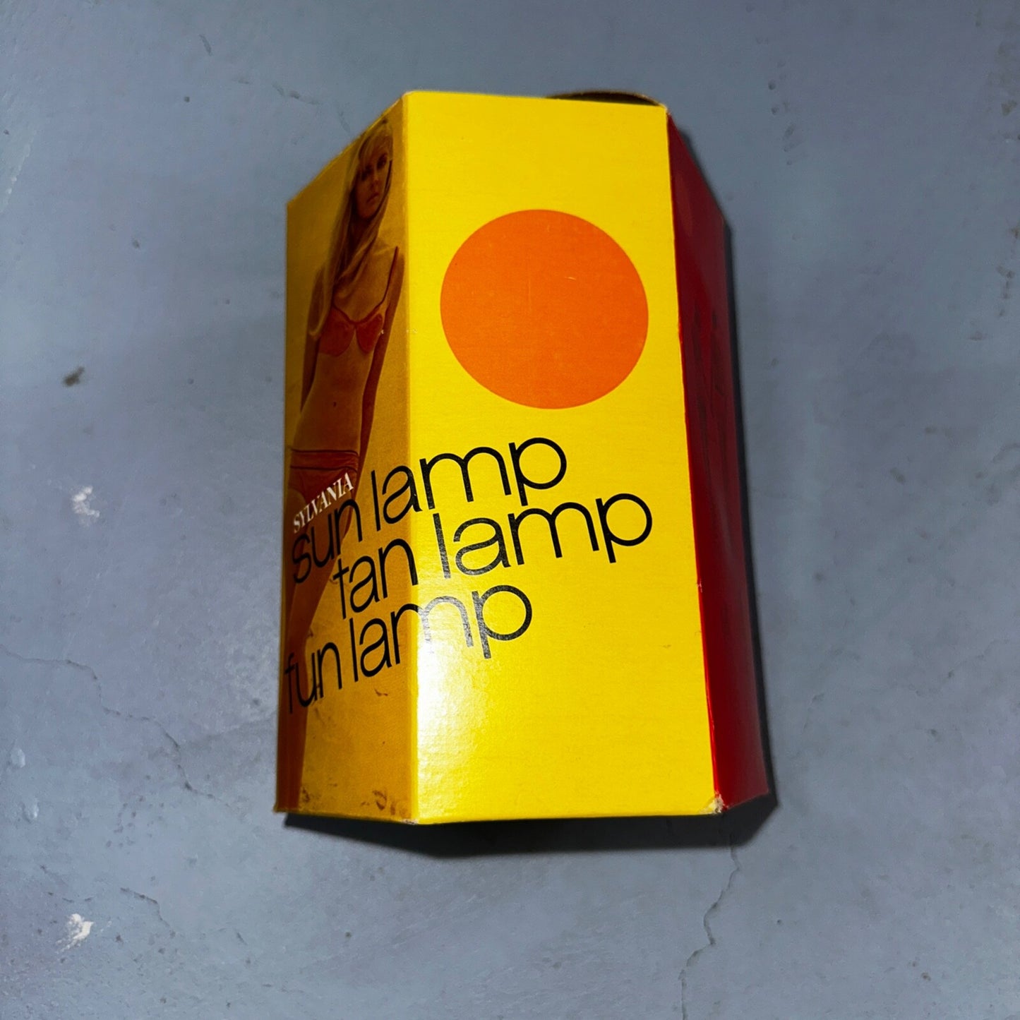 USA Vintage Levitron Industrial Style Cage Chicken Coop Sun Tan Lamp Box