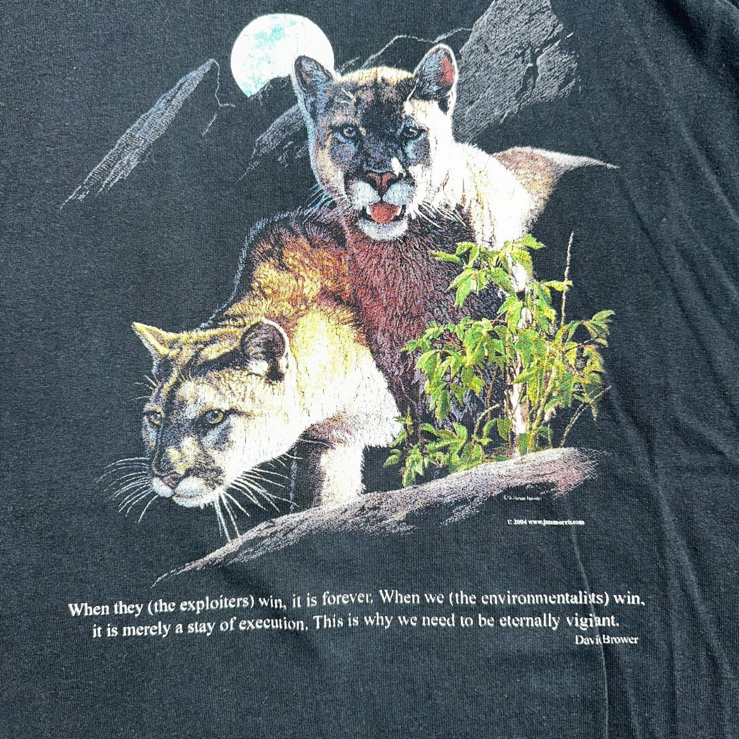 Mountain Lion VTG T Shirt Jim Morris Animal Graphic David Brower Environmental