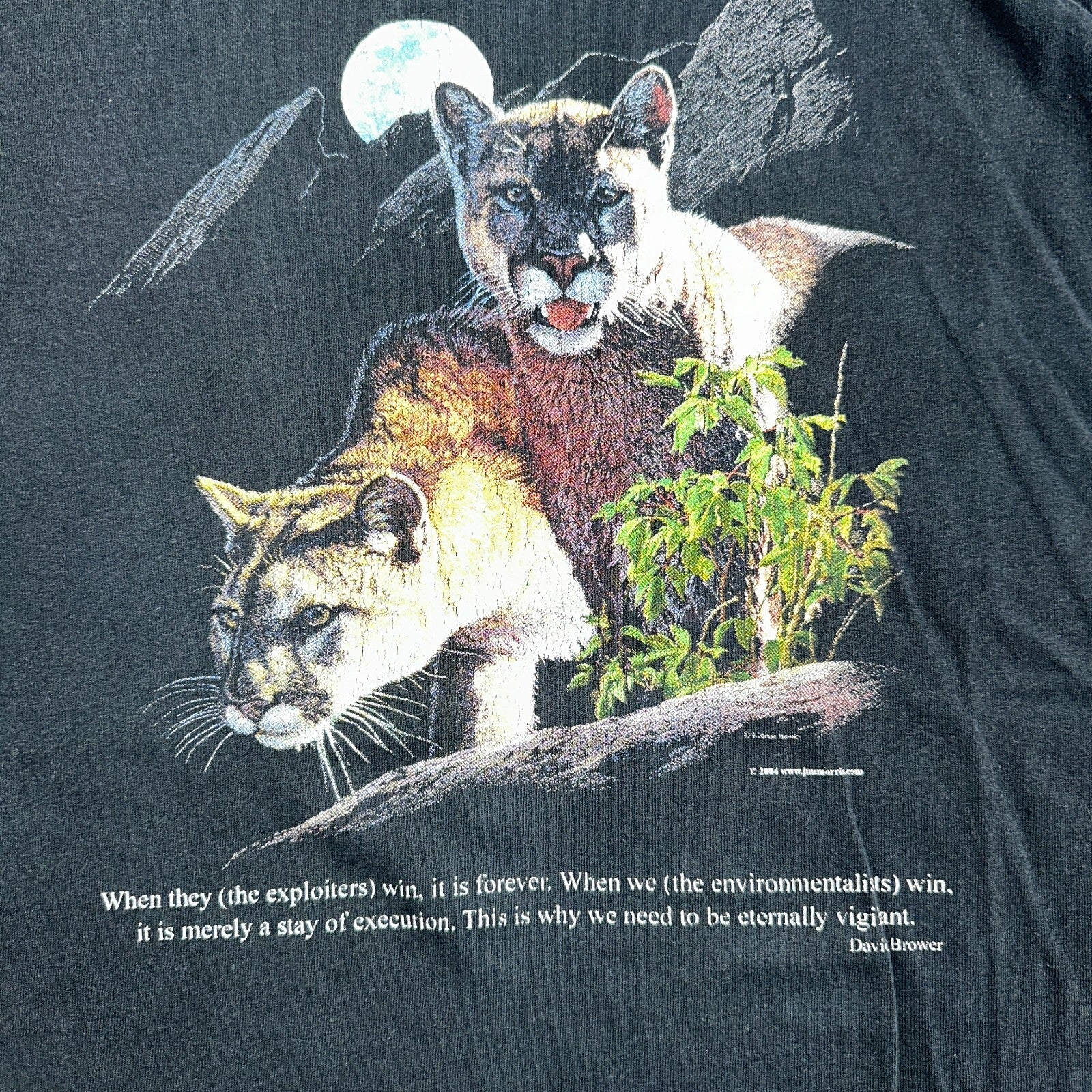 Mountain Lion VTG T Shirt Jim Morris Animal Graphic David Brower Environmental