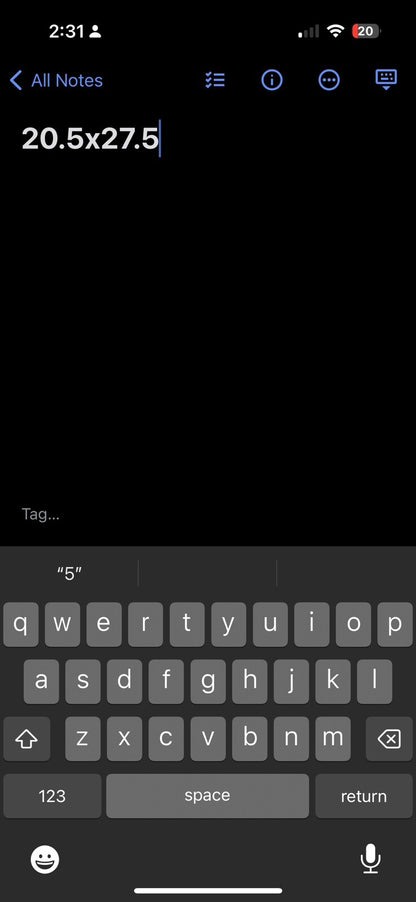 OSU Oregon State USA 70s 1970 VTG T Shirt USA Beavers RARE Single Stitch XL