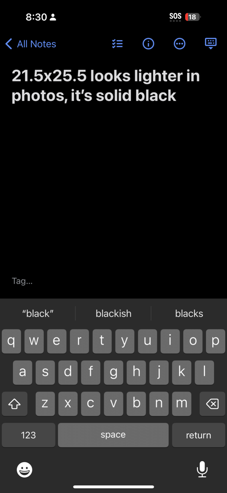 Buffalo Native American Jerzees VTG T Shirt Single Stitch Spirits Sue Chaffee