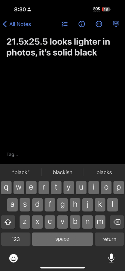 Buffalo Native American Jerzees VTG T Shirt Single Stitch Spirits Sue Chaffee