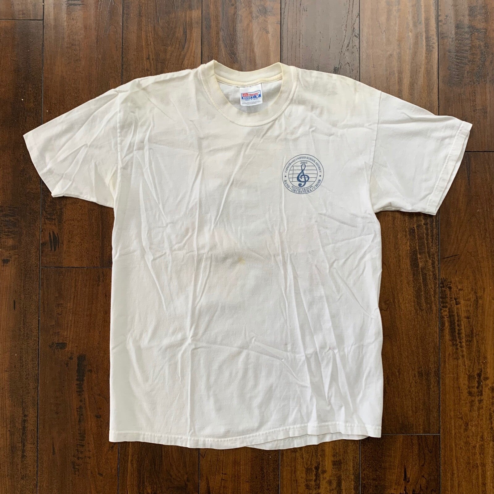 Music Festival 2001 Y2K Vintage T Shirt Jazz Rock Punk Capistrano California 