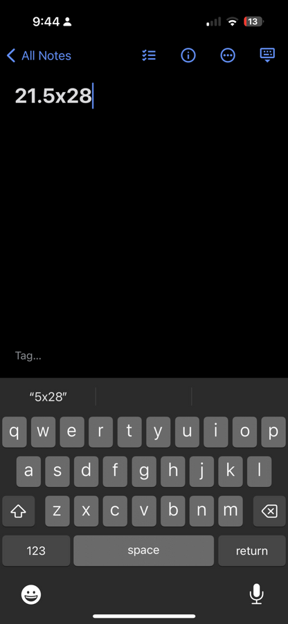 Black Cat 2005 VTG T Shirt Mask Movie Humane Society Animals Cute Love Hans