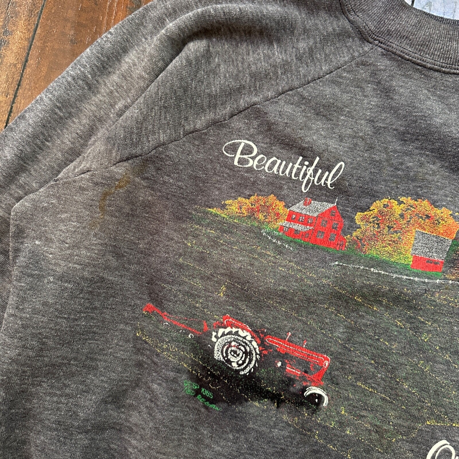 Beautiful Oregon VTG 90s 80s Sweatshirt Crewneck Jumper Gym Farm Land Cool