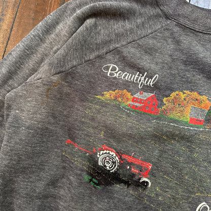 Beautiful Oregon VTG 90s 80s Sweatshirt Crewneck Jumper Gym Farm Land Cool