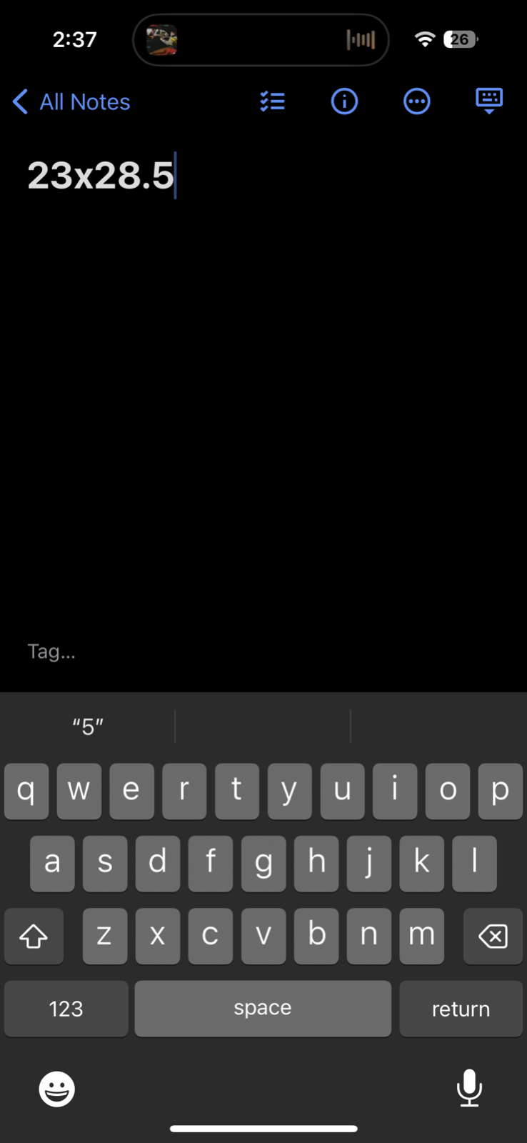 Silver Dart Lodge Y2K VTG T Shirt Cape Breton Green Gildan Embroidery XL