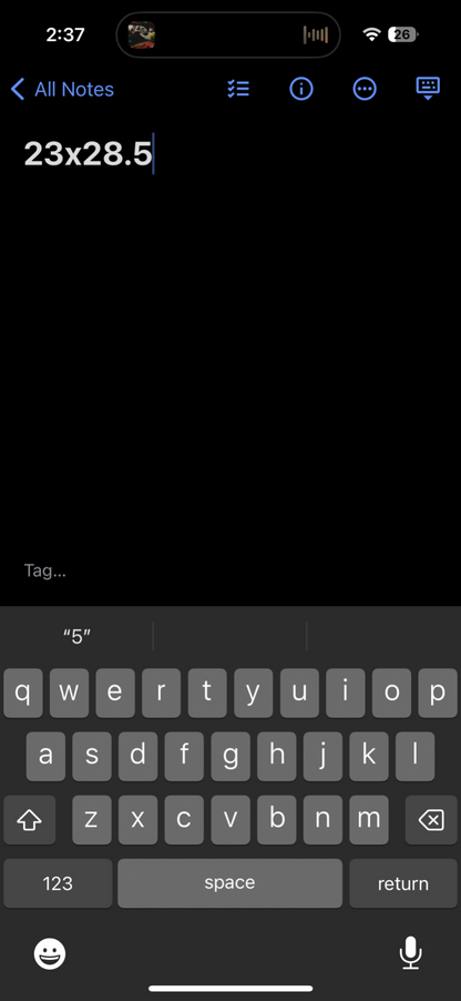 Silver Dart Lodge Y2K VTG T Shirt Cape Breton Green Gildan Embroidery XL