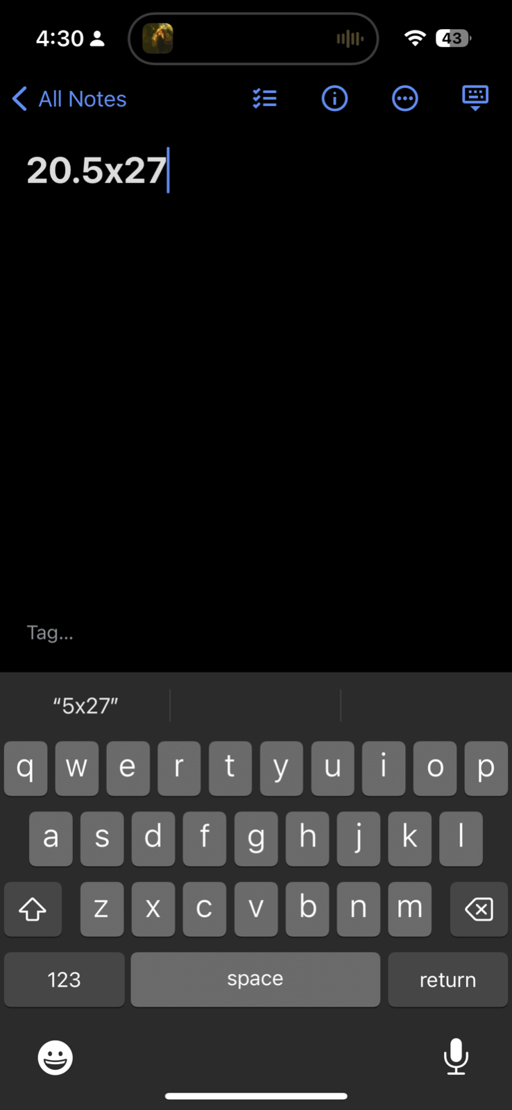 Gods County Vintage T Shirt Willamette University Salem Oregon Theatre Art 90s