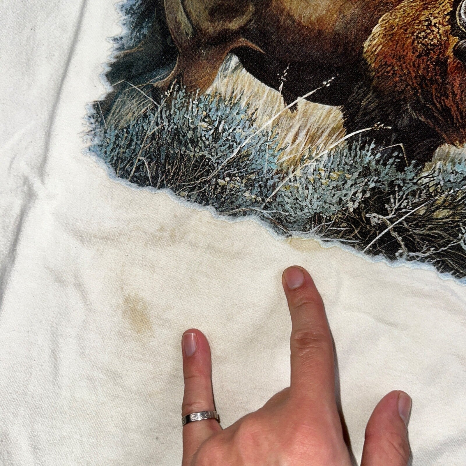 Buffalo VTG T Shirt Yellowstone Travel Animals Love Native America Y2K Photo