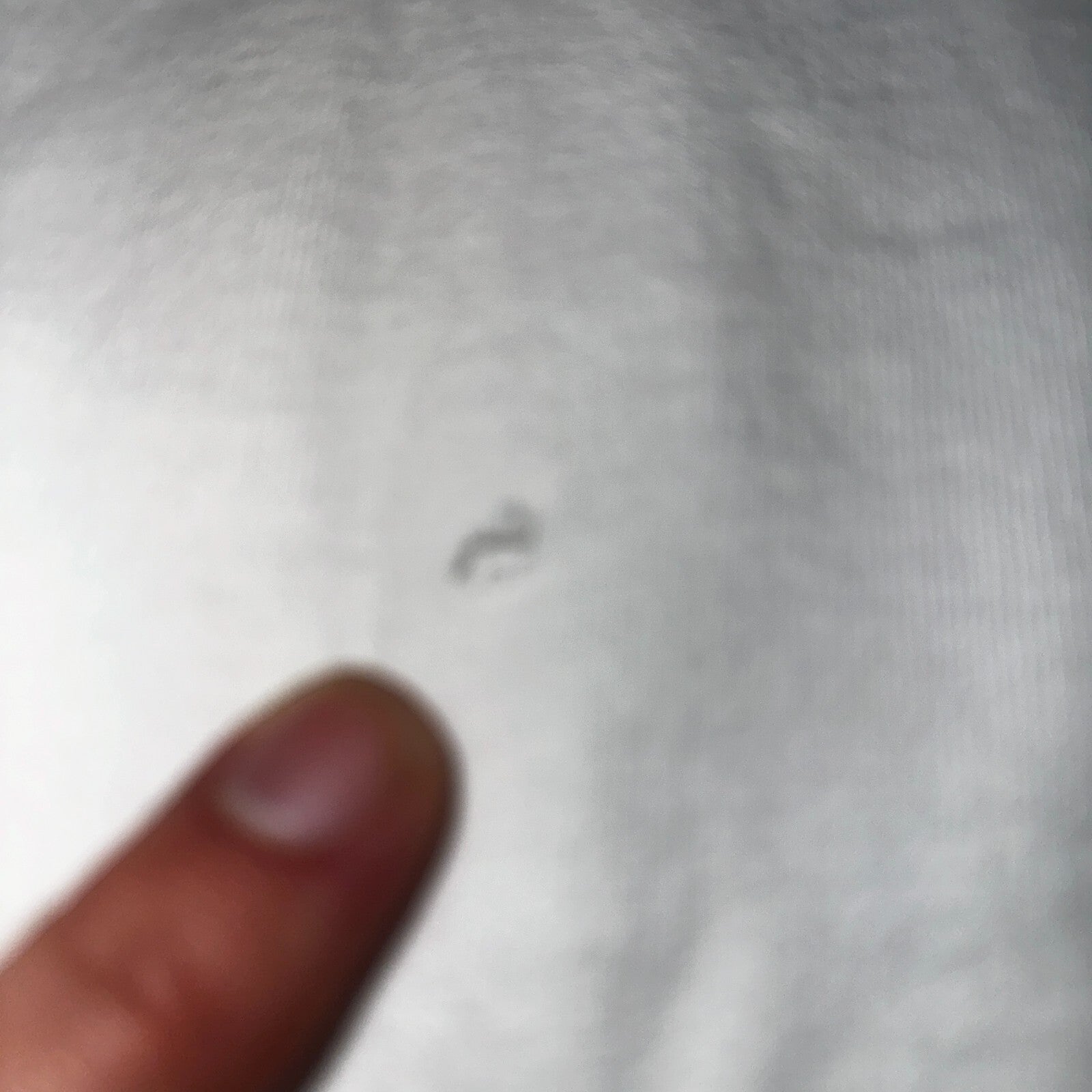 Vintage Arizona Wing Caf Ghost Squadron Sentimental Journey T-Shirt Size XL