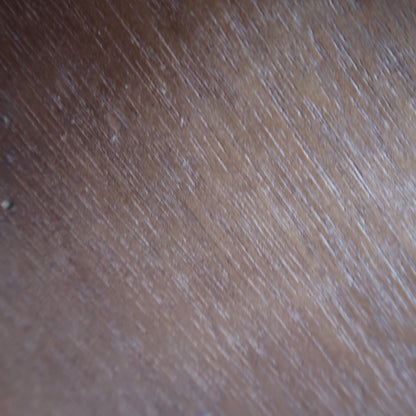 VTG Canadian Goose Duck Nut Cracker Bowl Wooden Shell Cracker Hand Painted Broke