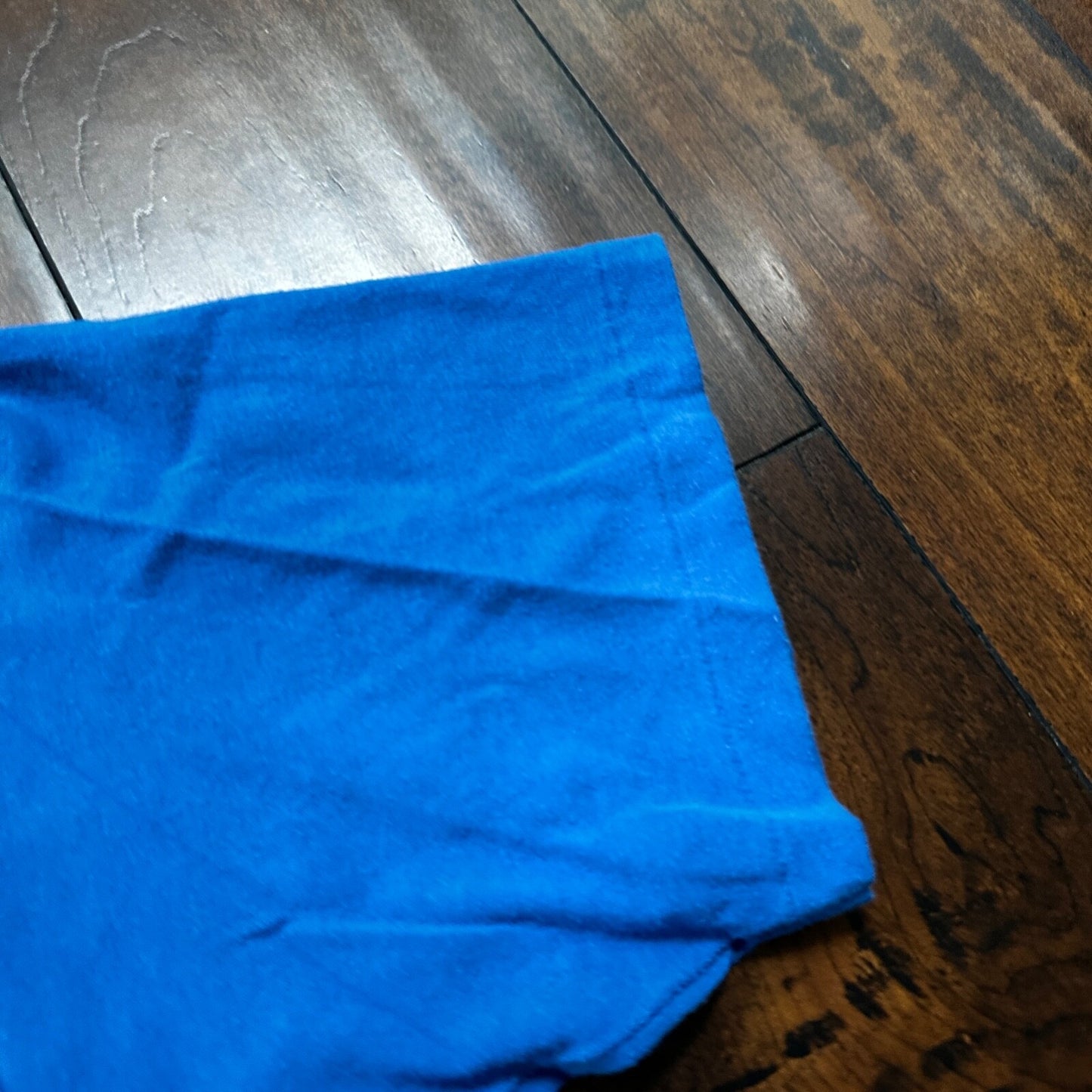 Rocking Horses 80s VTG T Shirt Single Stitch Rogue Valley Hospital Random