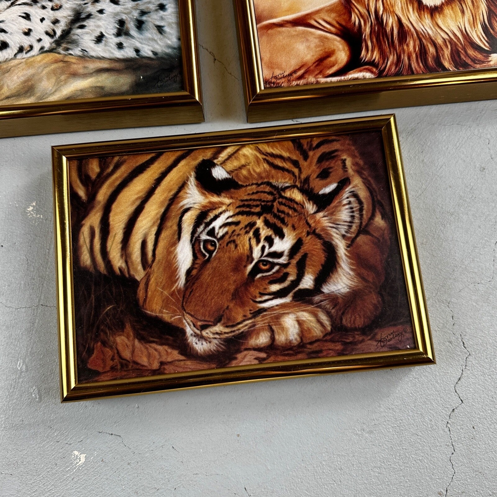 Home Interiors Tiger Framed Picture Toni Woolsey Local Oregon Artist Cats